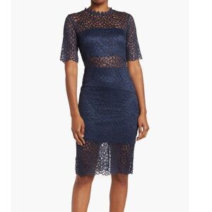 BY DESIGN Lace Sheer Panel Knee Length Cocktail Navy Blue Dress Sz Medium